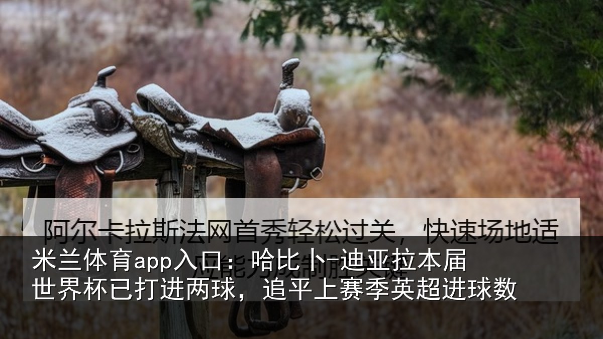 米兰体育app入口：哈比相关情况杯已相关情况季英超进球数