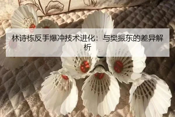 lin-shi-dong-fan-shou-bao-chong-ji-shu-jin-hua-yu-fan-zhen-dong-de-cha-yi-jie-xi-3-505.jpg