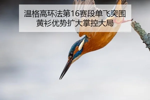 wen-ge-gao-huan-fa-di-sai-duan-dan-fei-tu-wei-huang-shan-you-shi-kuo-da-zhang-kong-da-ju-2-445.jpg