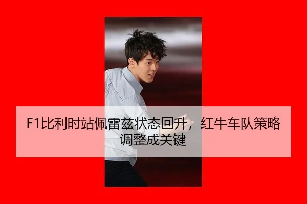 bi-li-shi-zhan-pei-lei-zi-zhuang-tai-hui-sheng-hong-niu-che-dui-ce-lve-tiao-zheng-cheng-guan-jian-2-591.jpg
